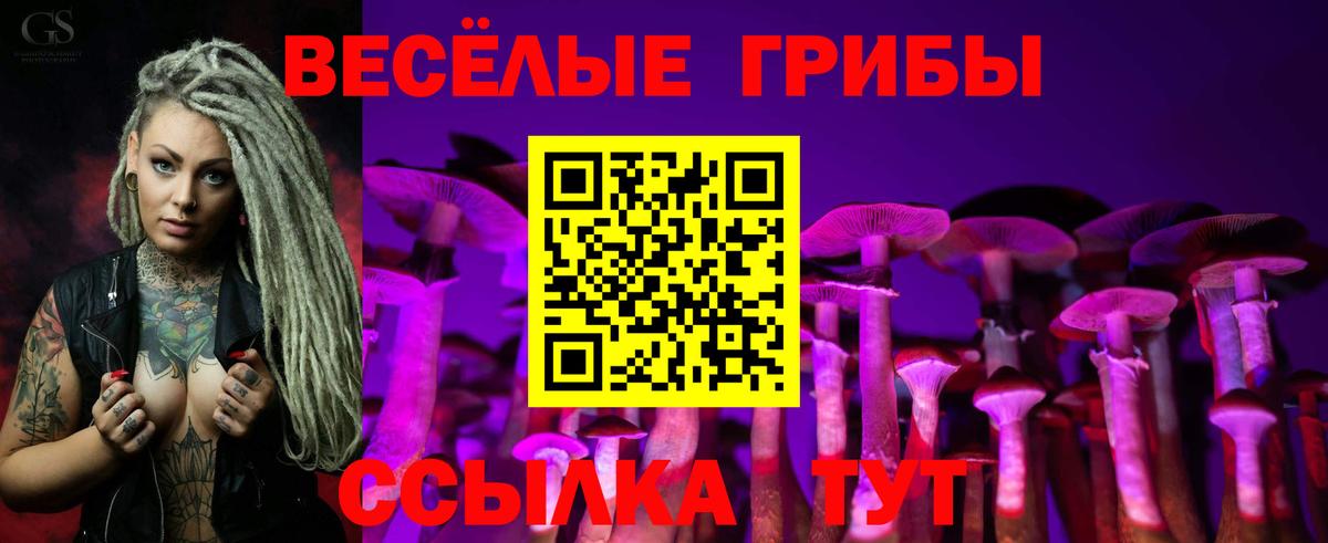 дарнет шоп  Псилоцибиновые грибы Magic Shrooms  Россошь  Вход с VPN  Галлюциногенные грибы Psilocybine cubensis 